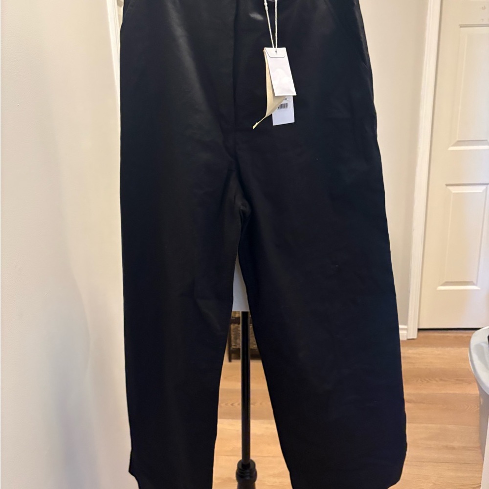 Black Wide-Leg Pants cropped